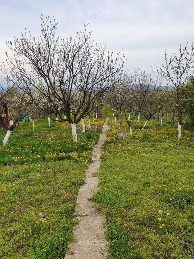 Teren Oradea 3.152 mp front 22.5 m str Fagetului - 6