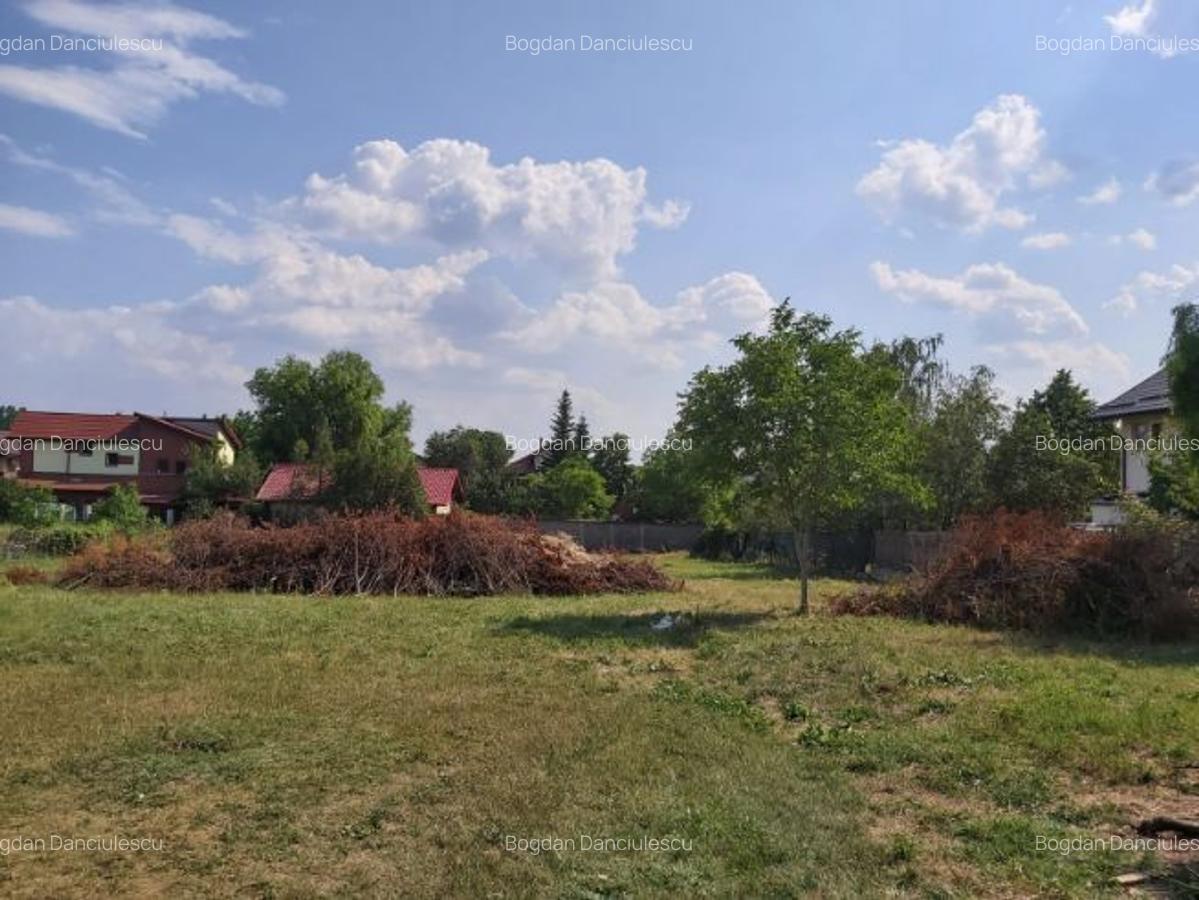 Proprietar, vand teren intravilan Mogosoaia, zona FRF - 4
