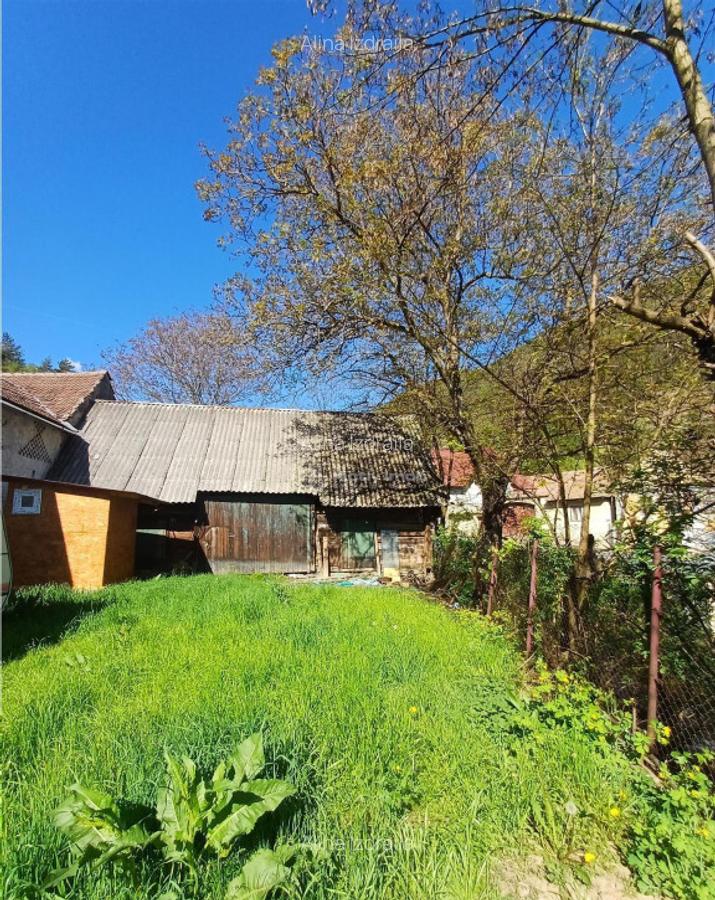 Teren intravilan cu toate utilitatile in sat de munte - 5 Teren intravilan cu toate utilitatile in sat de munte - 5