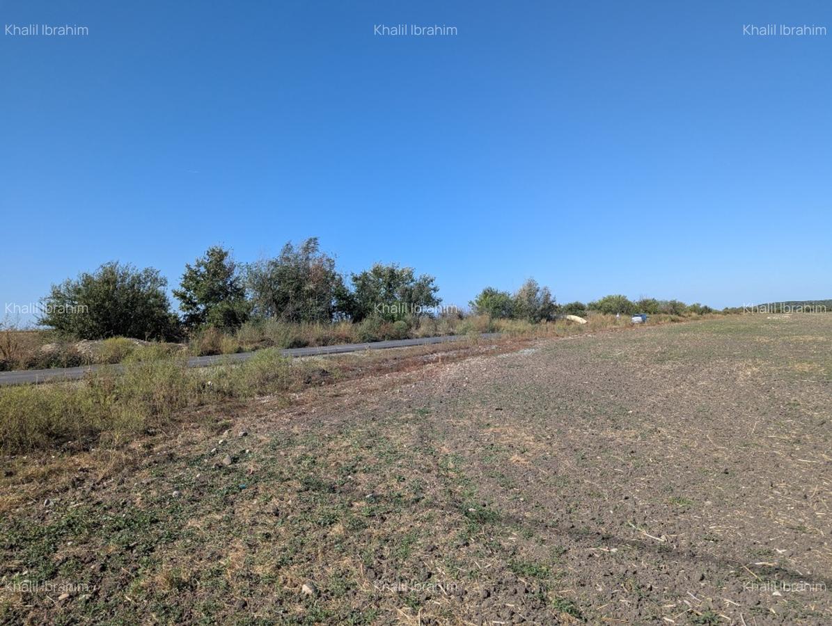 Teren intravilan 7600mp - Stefanestii de Jos, Jud. Ilfov - 3