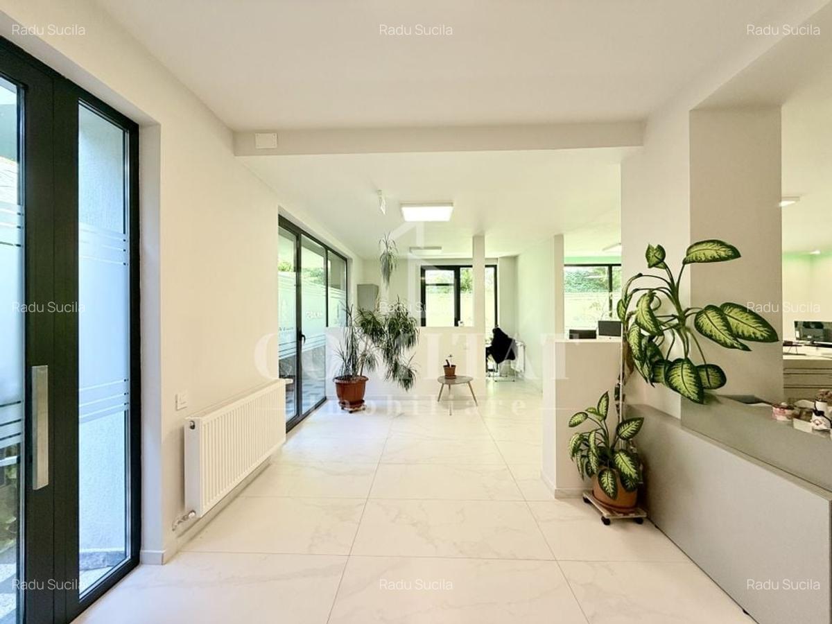 Spațiu comercial cu terasă ideal servicii cartier Borhanci - 4