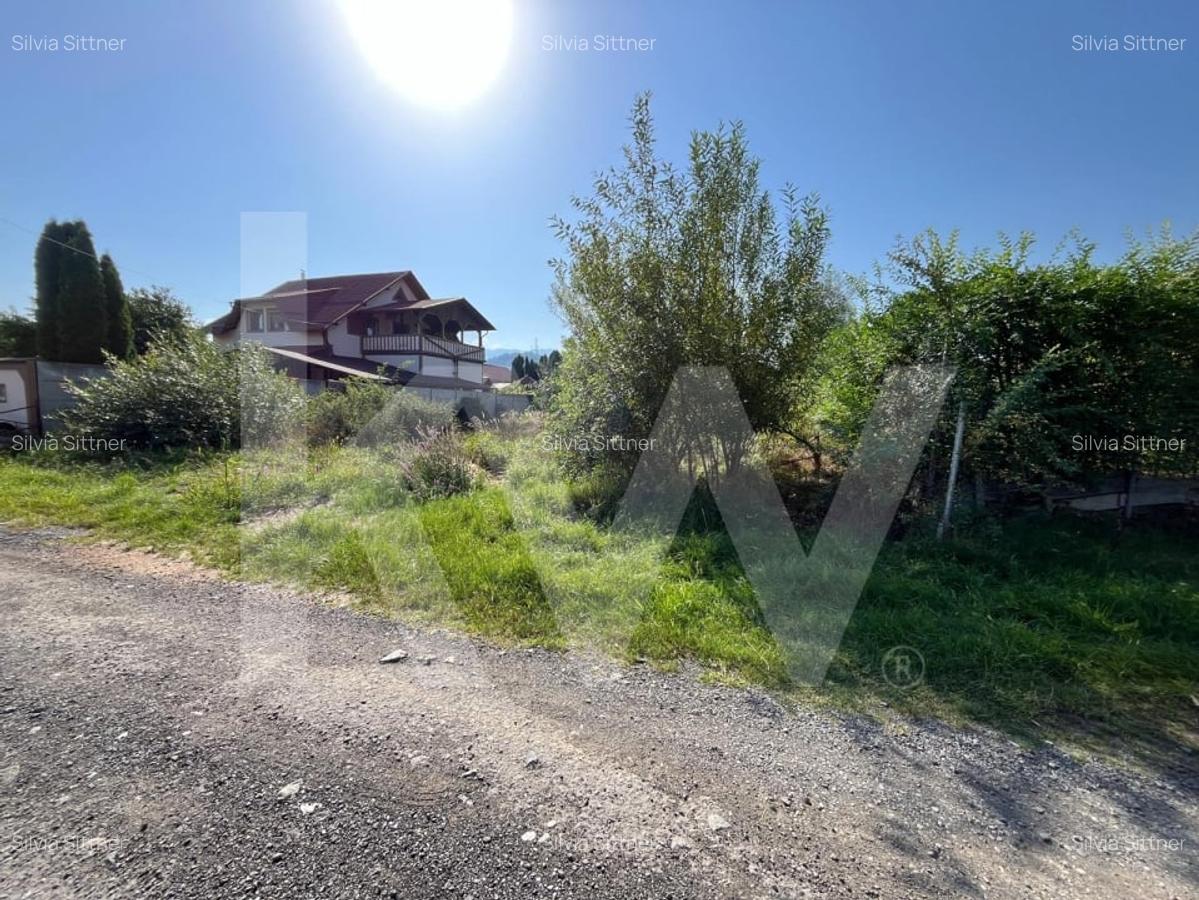 Teren intravilan 1.000 mp de vanzare Talmaciu - 2