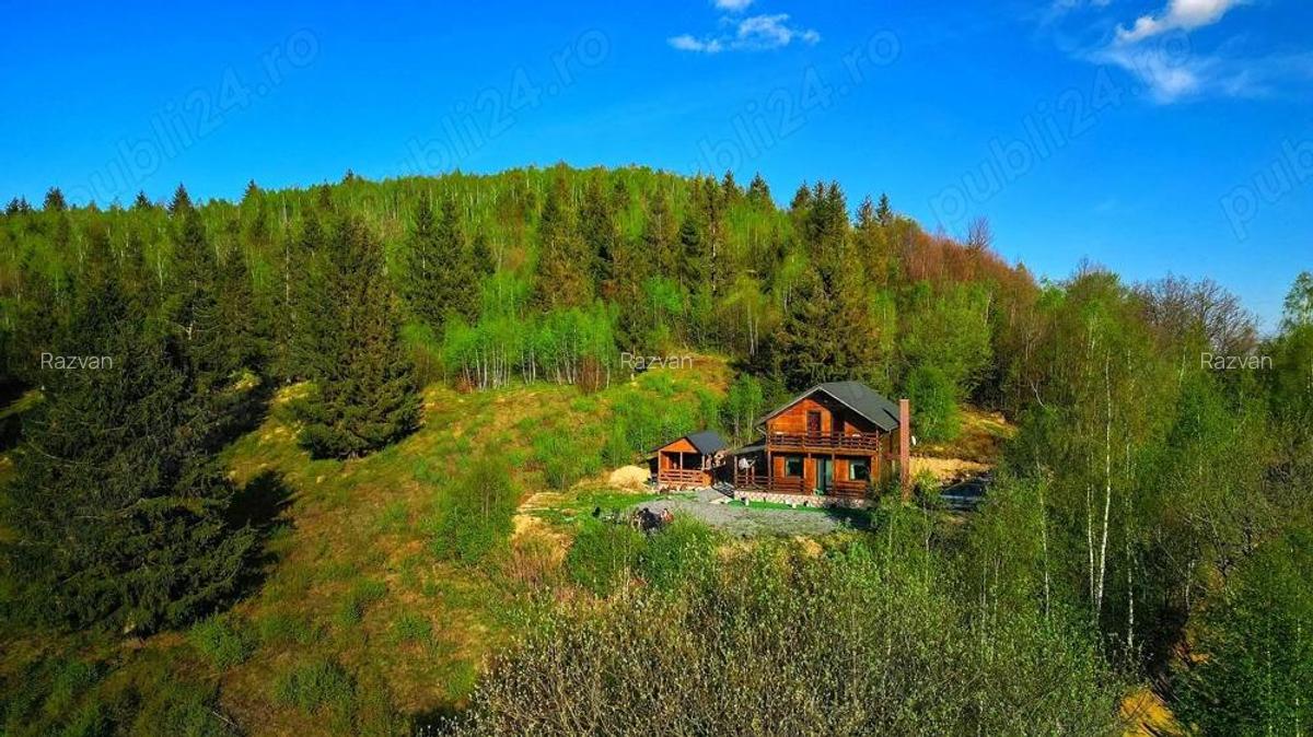 Cabana de vanzare o oaza de liniste in Muntii Apuseni Valea Ierii - 10