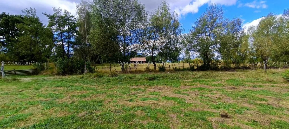 Teren cu suprafata generoasa in zona pitoreasca - Bran Sohodol - 1