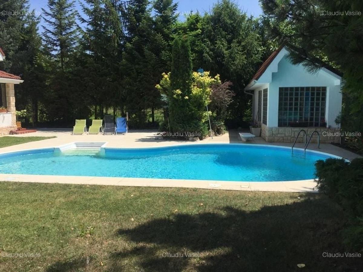 Vila spatioasa de inchiriat | gradina generoasa si piscina |Pipera - 17