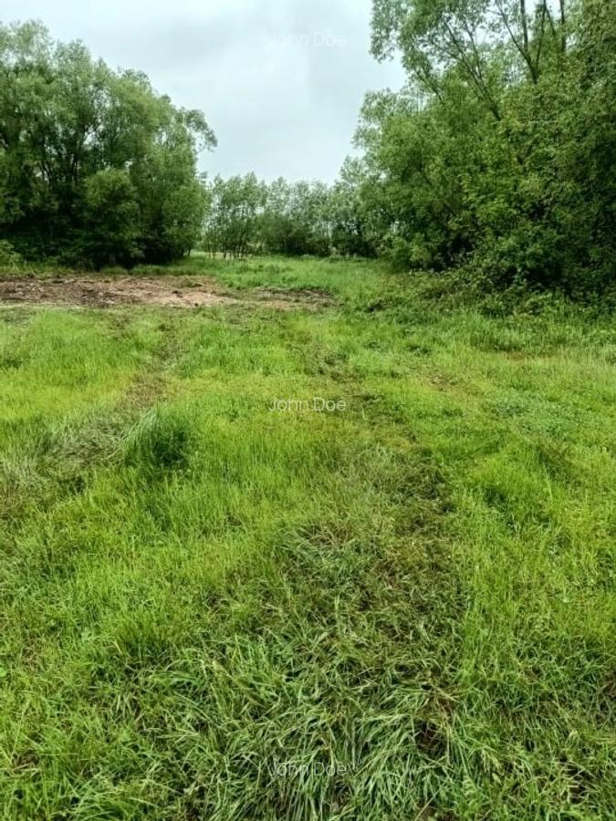 Teren de vanzare intravilan Com Fardea Jud Timis - Langa lacul Surduc - 5