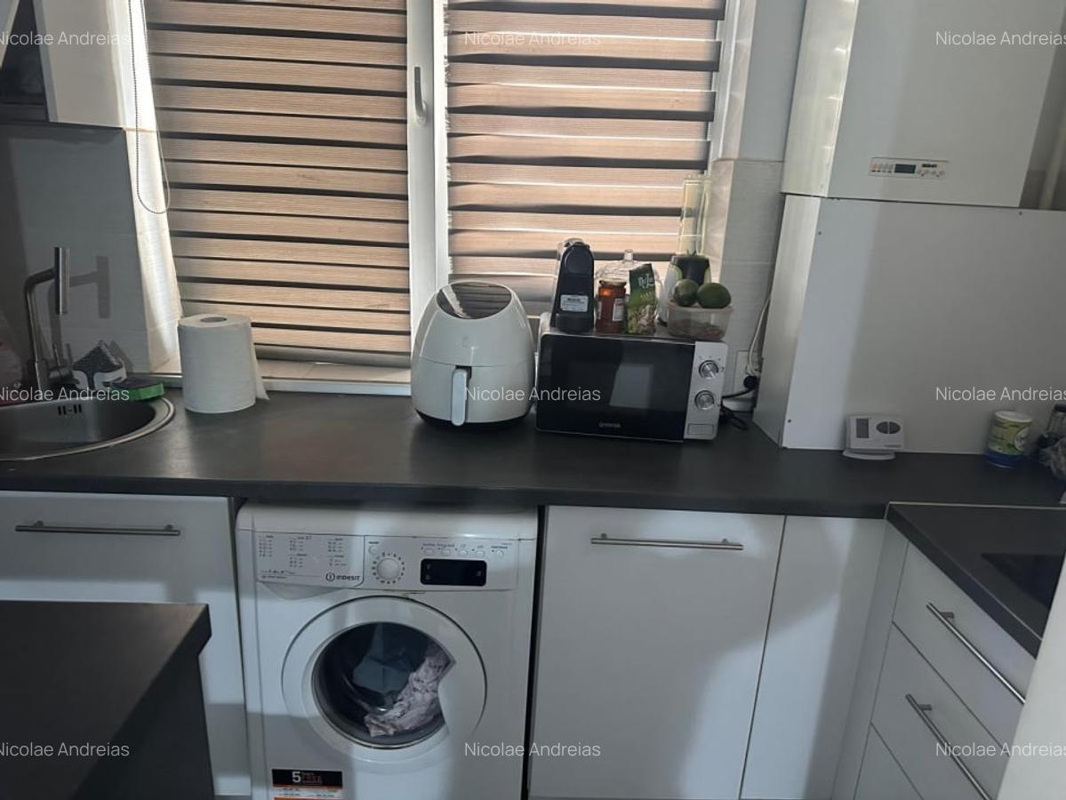 Popesti Leordeni-Amurgului-Dimitrie Leonida - 8