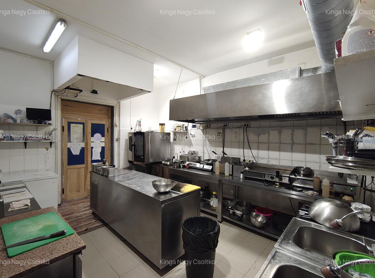 DE VÂNZARE – Spațiu de alimentație publică 53mp+111mp teren - 8