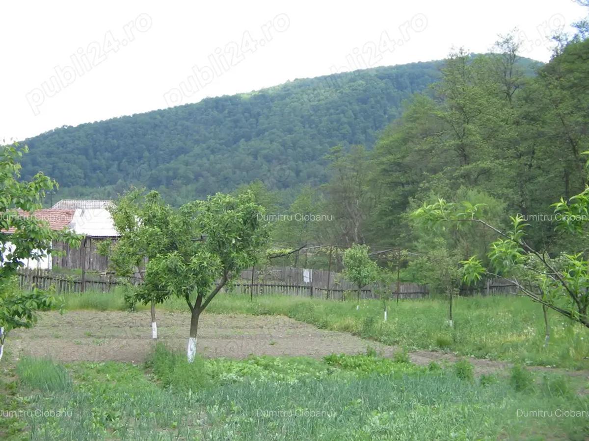 Casa de vacanta de vanzare - 8