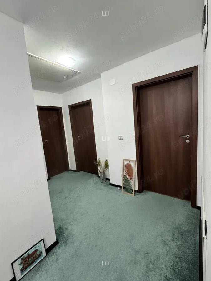 Vand casa Vinga - 8
