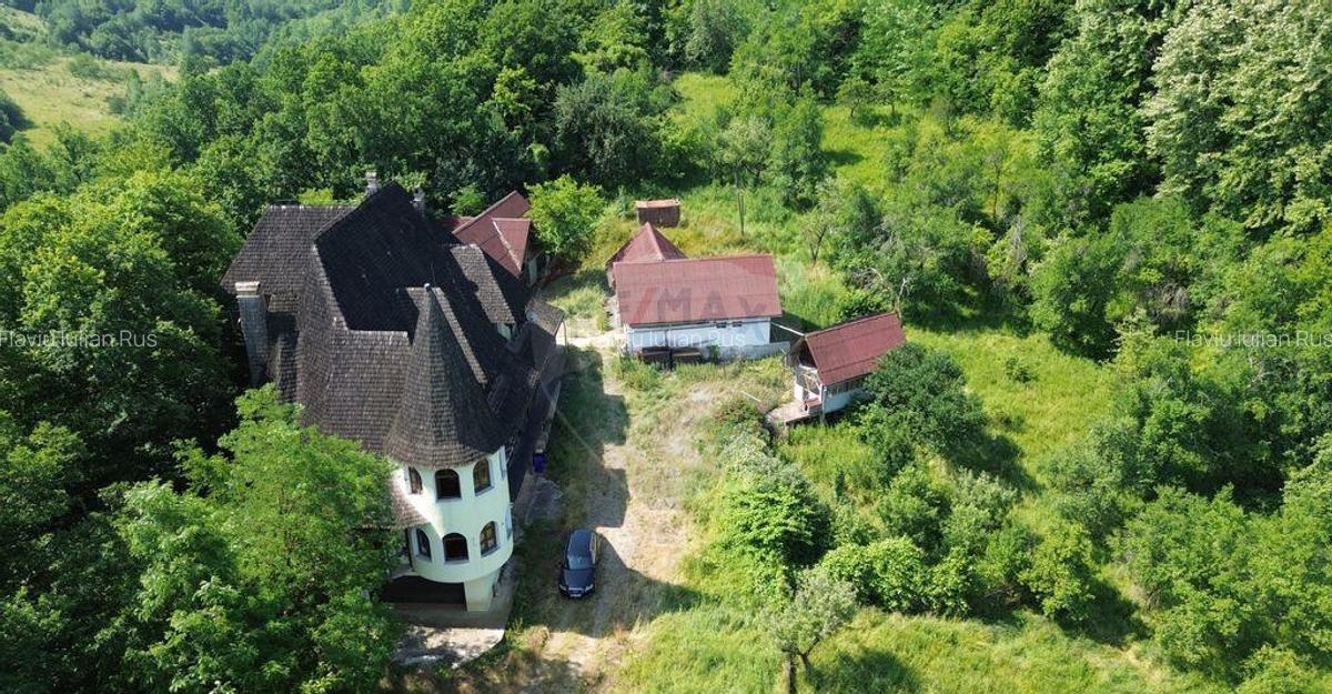 DE VANZARE CASTEL IN MARAMURES - 8