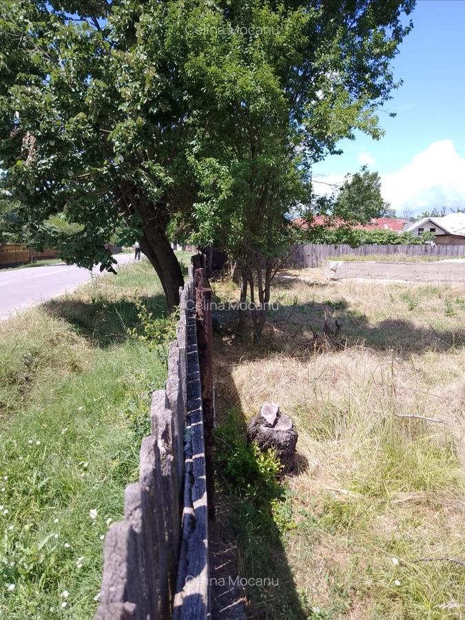 Teren intravilan 1570 mp in sat Magura (Hulubesti), Dambovita, deschidere 31ml - 3