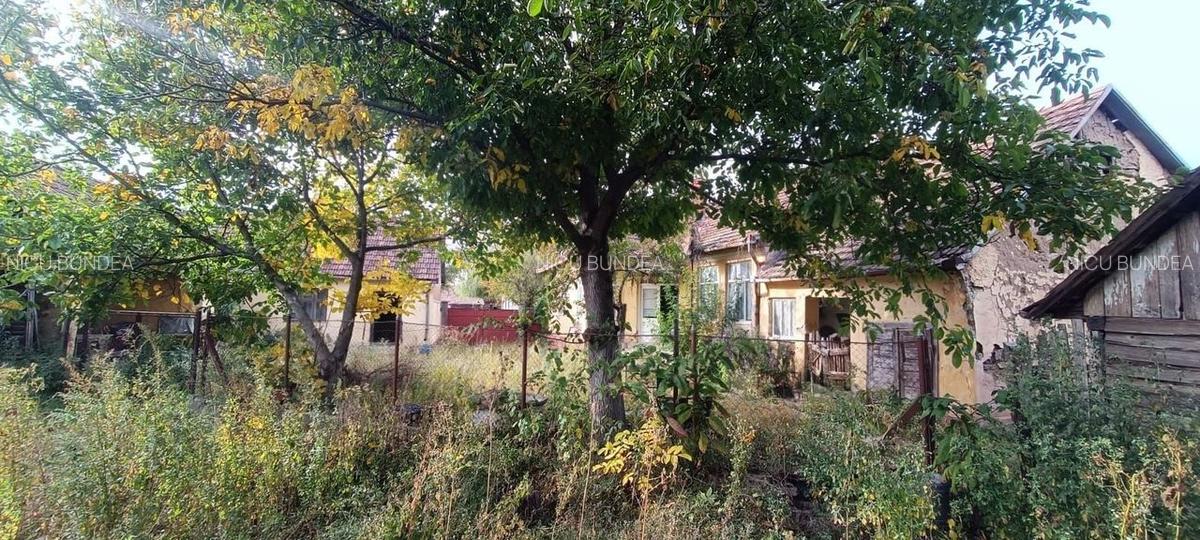 ?  Casă de Poveste în Șiria, Arad- Locație Rară - 16