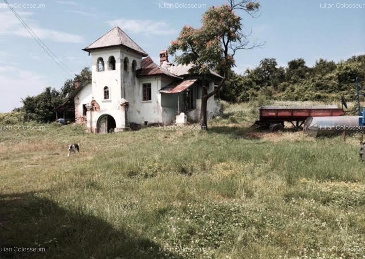 Teren de vanzre in Pitesti 53.000 mp + Conac Boieresc - 3