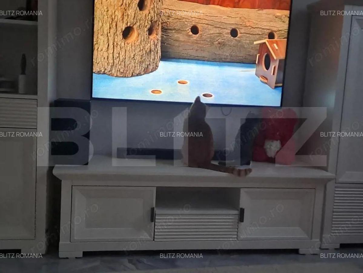 Apartament confortabil, 2 camere, zona excelenta - Tractoru - 13