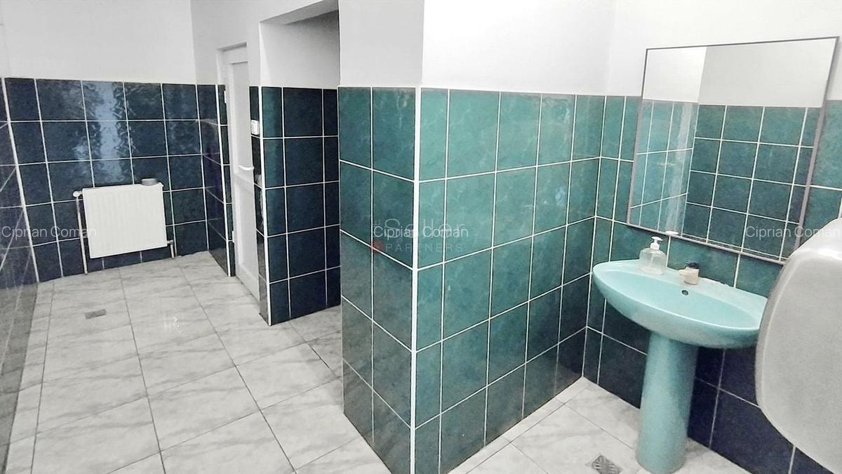 Suprafata generoasa Pret atractiv - 9