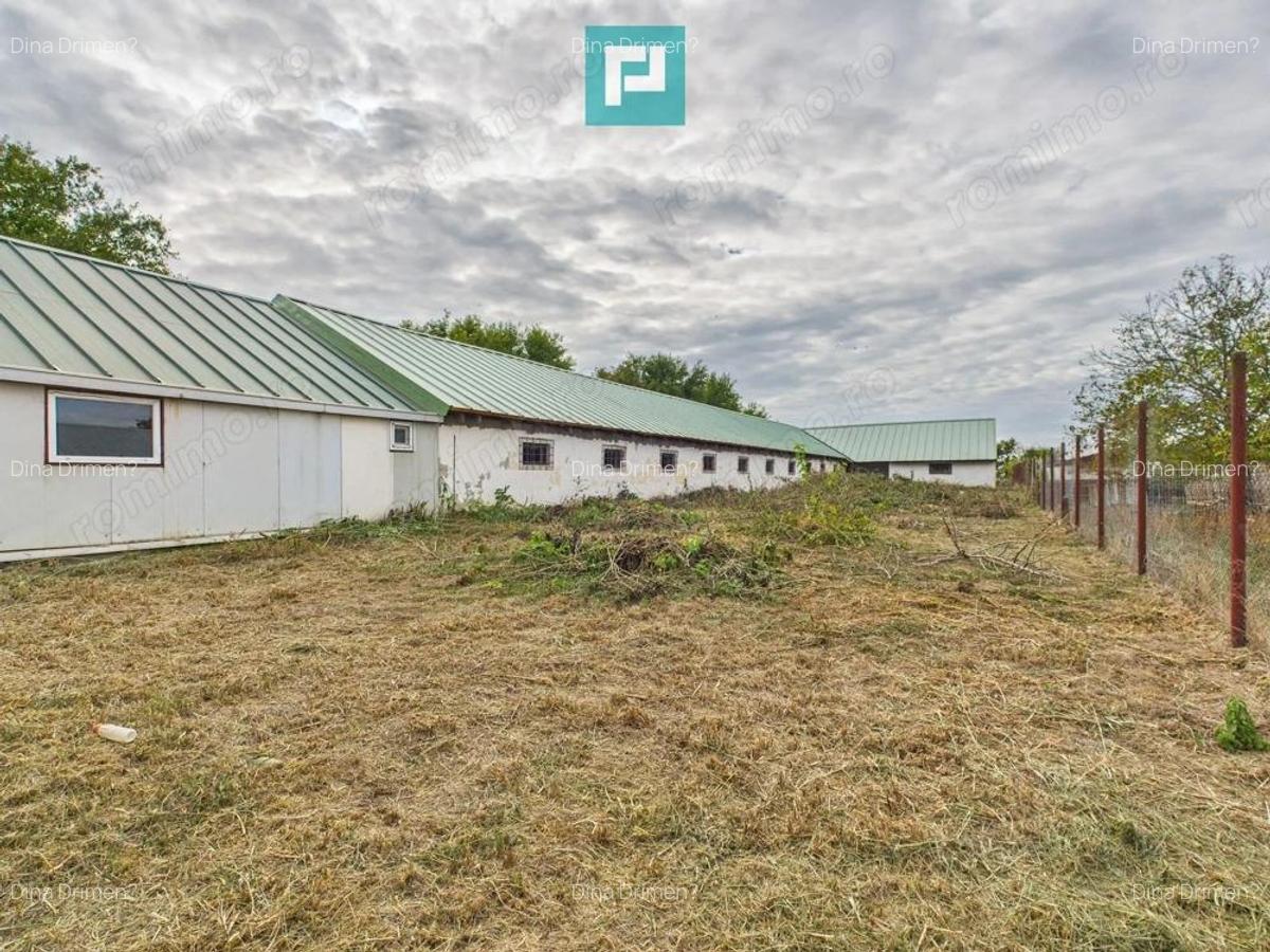 Hala pentru produc?ie / ferma zootehnica - Varia? - 18