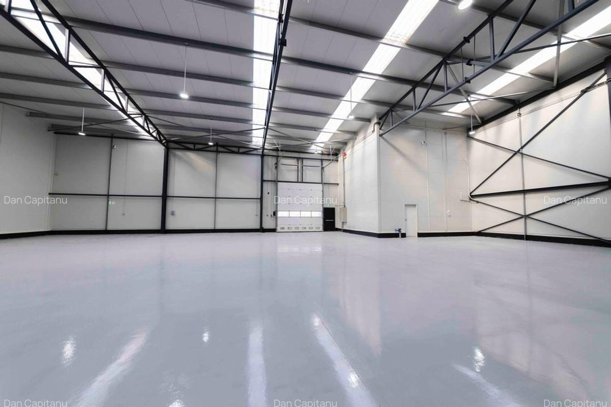 Zona Drumul Intre Tarlale - hale noi 600mp - 1