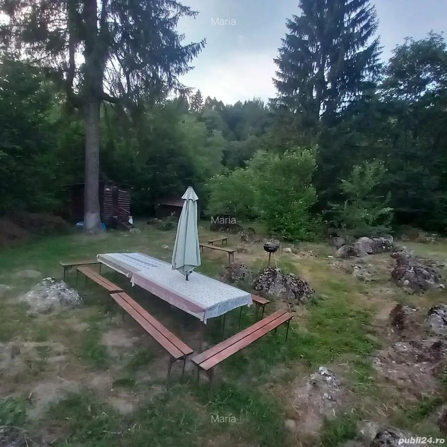 Un colt de paradis in Bucegi - 4