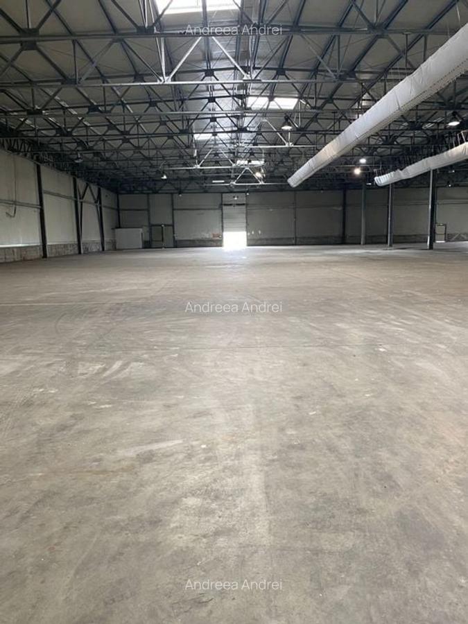 Spațiu industrial, 5500 mp în Feldioara - 4