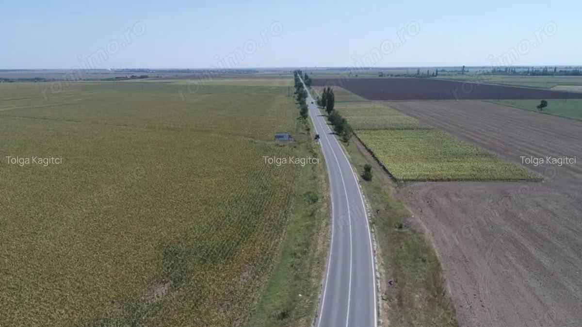 TEREN INTRAVILAN FUNDULEA 63.000 MP , jUD. CALARASI DE VANZARE - 4