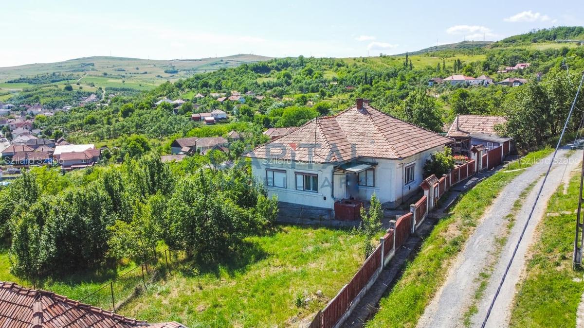 Casa de vanzare in comuna Sic - 2