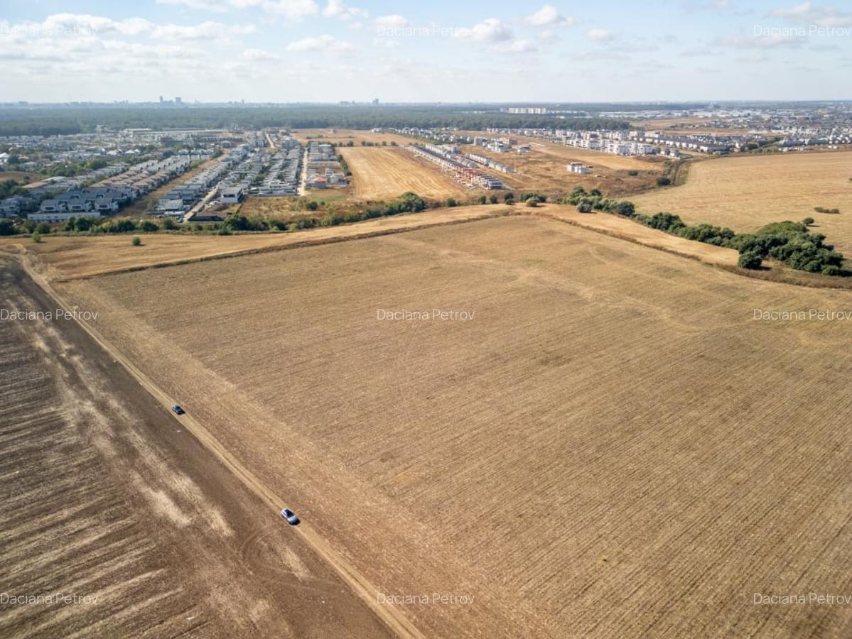 Teren dezvoltare in Tunari - 4