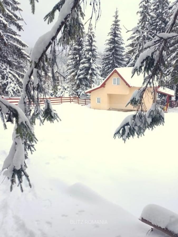 EXCLUSIV BLITZ !  Cabana in statiunea Muntele Baisorii - 6