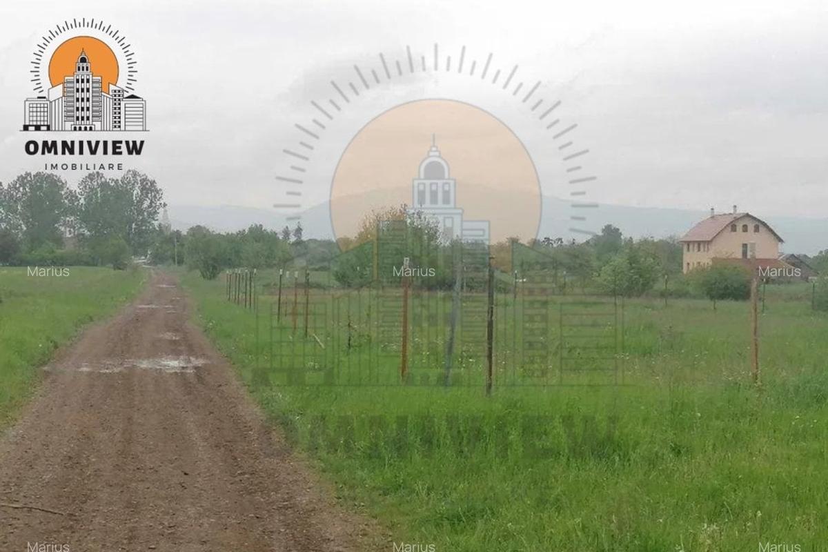Ofertă Atractivă: Teren intravilan 47700 mp Dobolii de Jos, doar 20 km de Brașov - 4