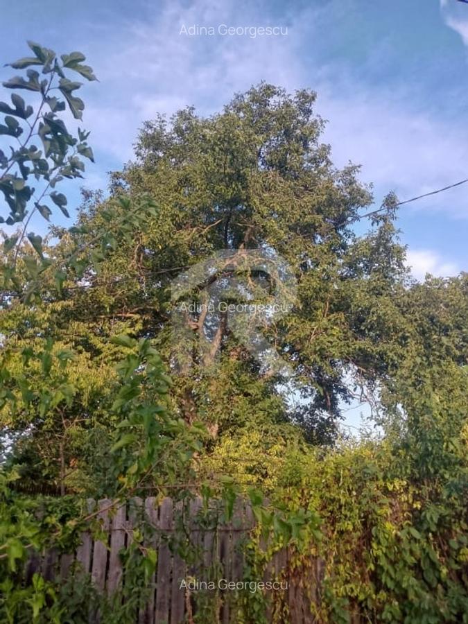 Exclusivitate_Lipia (Gruiu IF)- Casuta Bunicii - 5