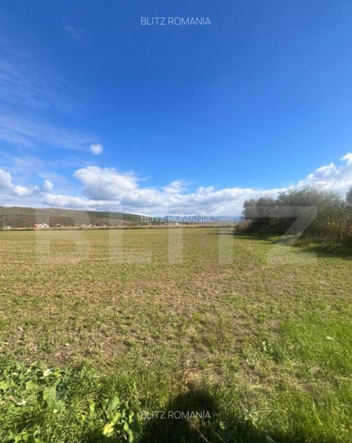 Teren Extravilan in Apropiere de Jelna 25.800 mp, cu Ut - 2 Teren Extravilan in Apropiere de Jelna 25.800 mp, cu Ut - 2