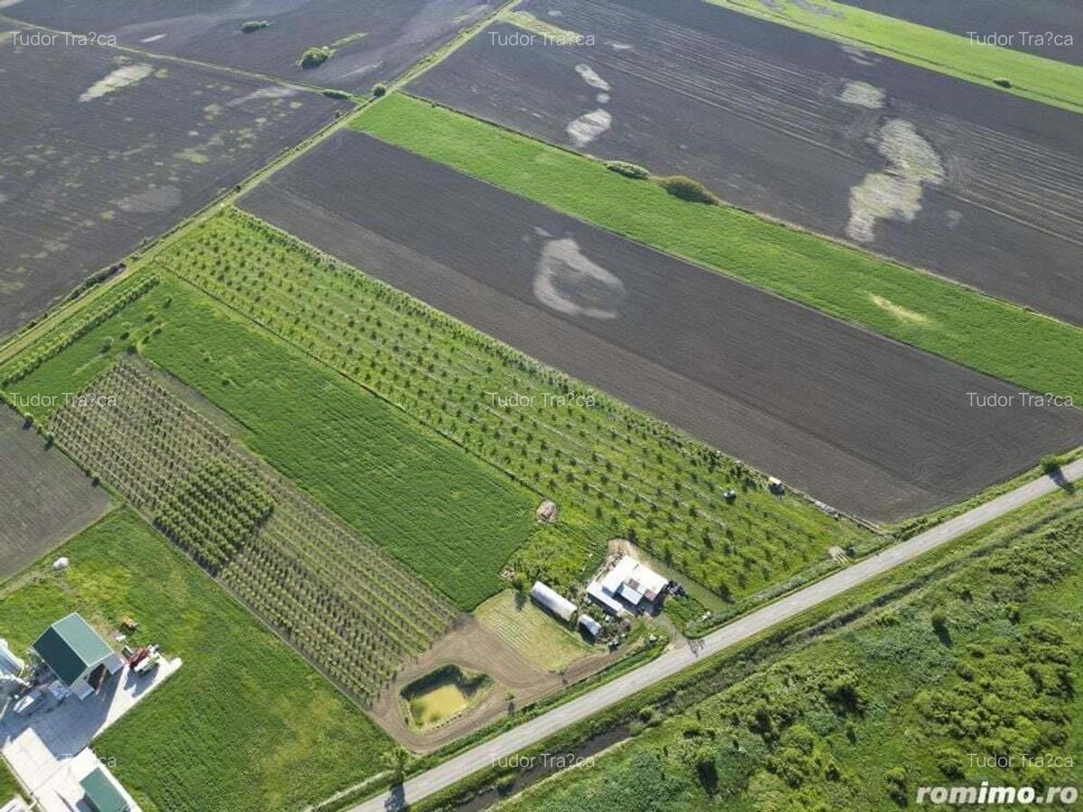 Livada de nuci ?i pruni 2.4ha in Varia?ul Mare - 20