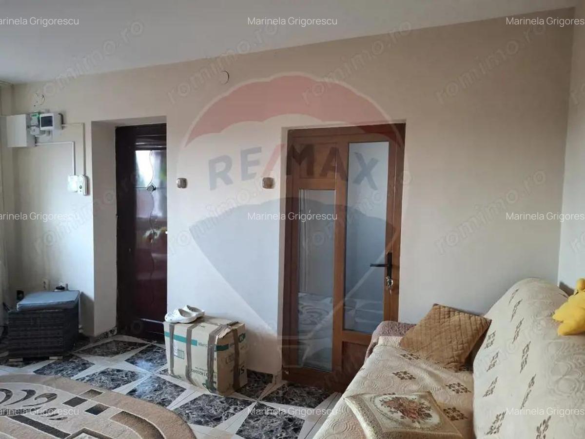 Casa / Vila cu 6 camere de vanzare in zona Calea Severinului - 8