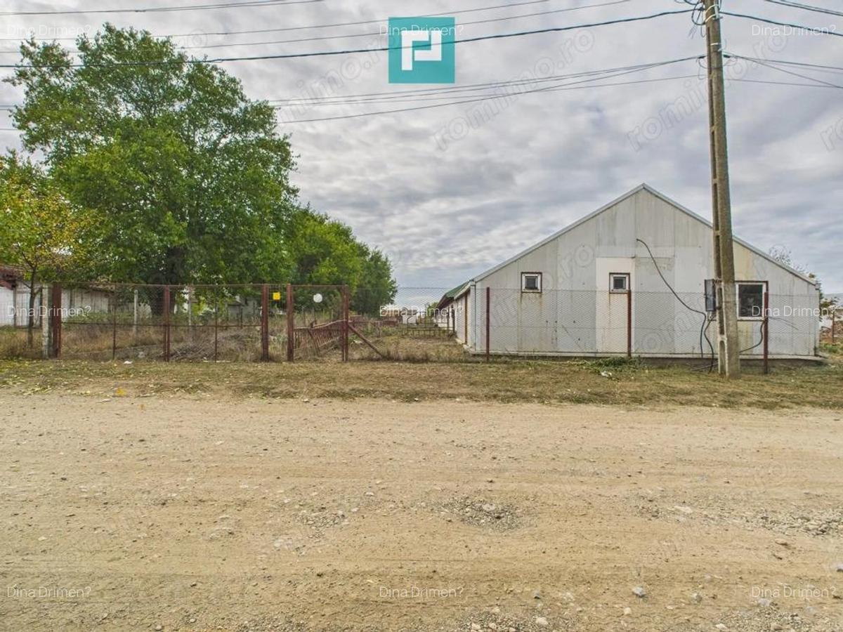 Hala pentru produc?ie / ferma zootehnica - Varia? - 19