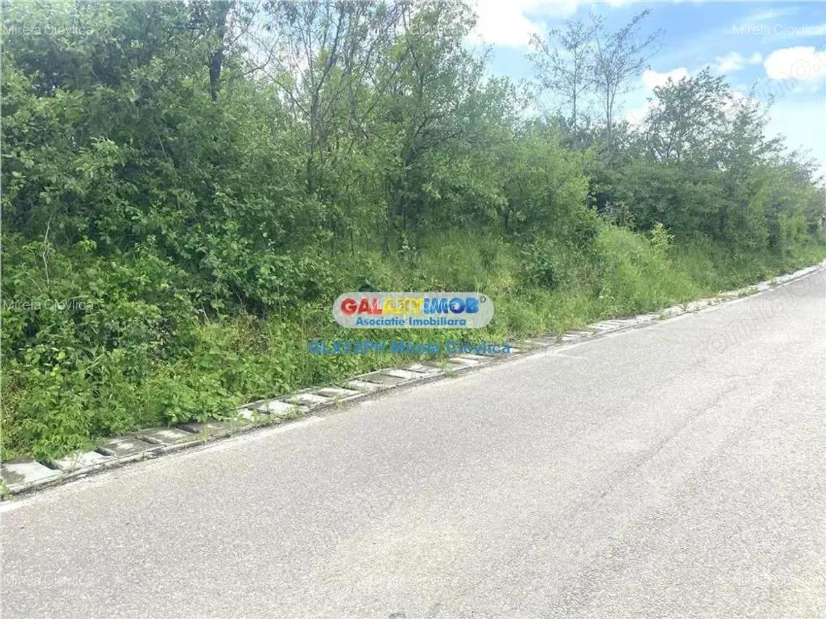 Vanzare teren intravilan Baicoi zona Tintea - 3 Vanzare teren intravilan Baicoi zona Tintea - 3