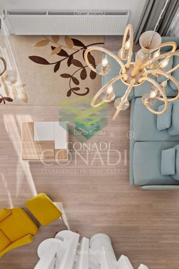 Iancu Nicolae- Pipera, British School, vila cu 6 camere de vanzare, - 19