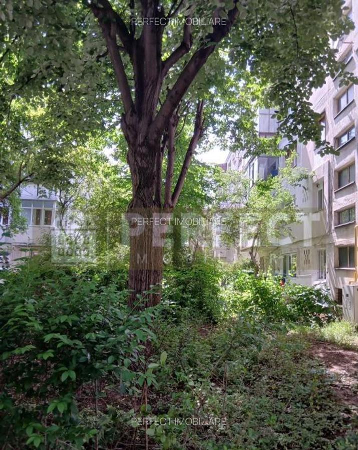 Apartament 2 camere, et.2/4 -Zarandului - 40.000 euro - 11