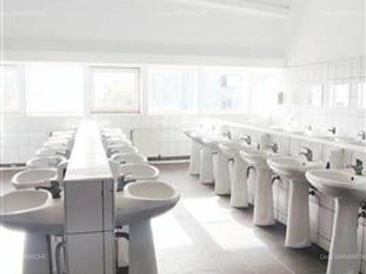 Hale in parcul Roman sau tractorul - 6