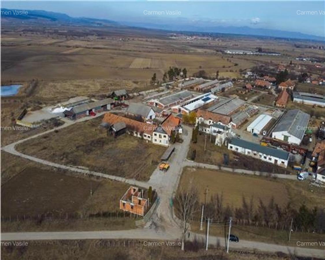 In areal linistit, acces facil, 120.000mp teren extravilan, Covasna , Borosneu M - 4