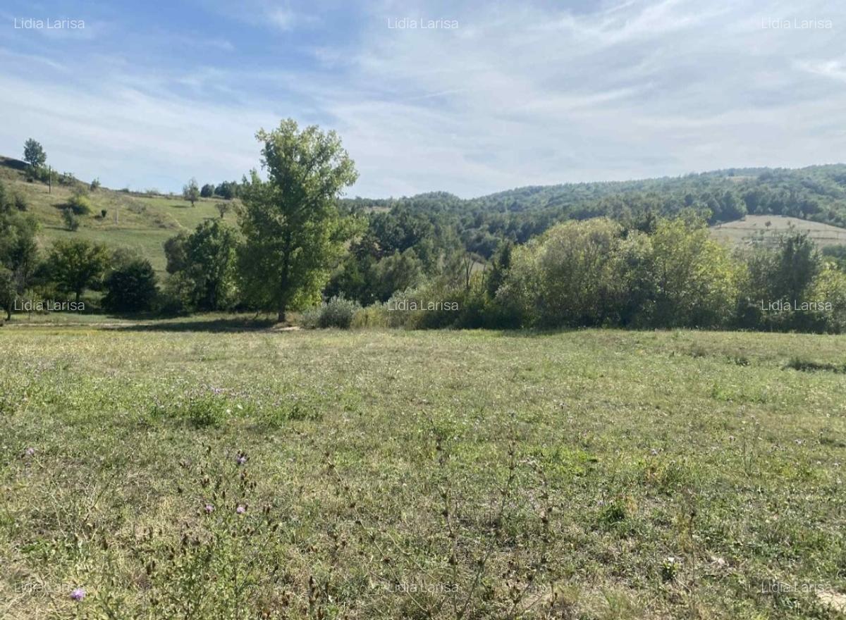 Casa de vanzare+teren - 8