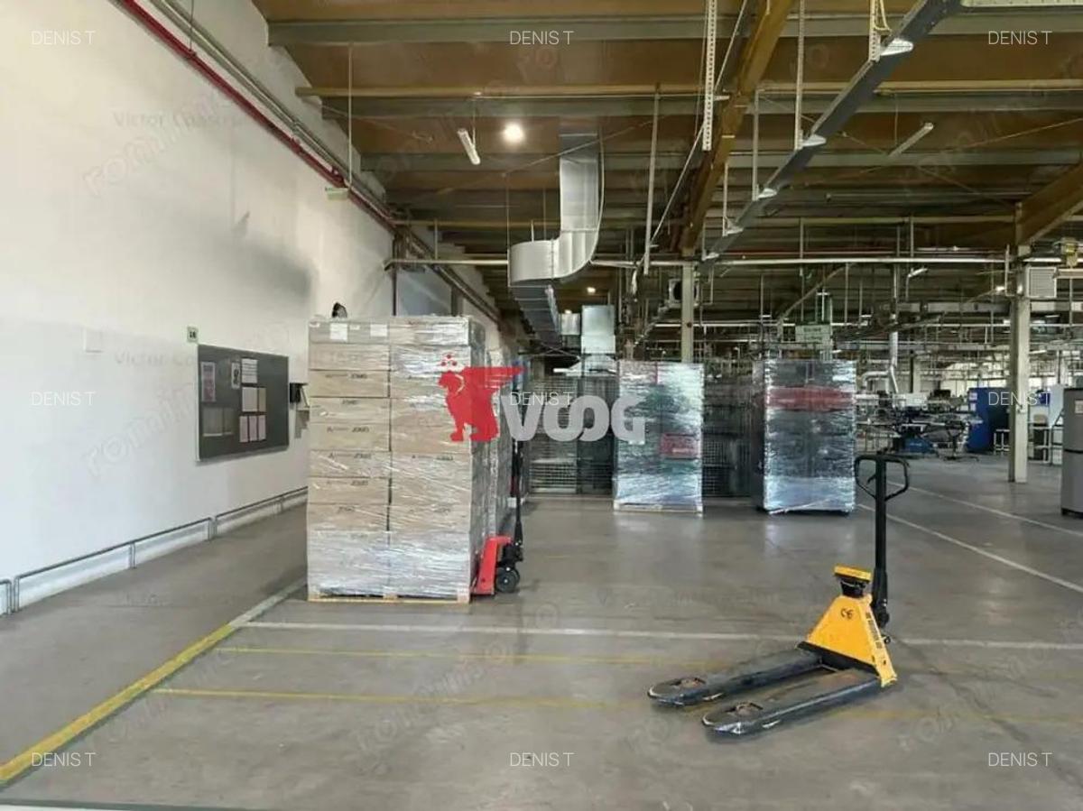 Proprietate Industriala 7000 mp hala in Calea Sagului Timisoara - 4