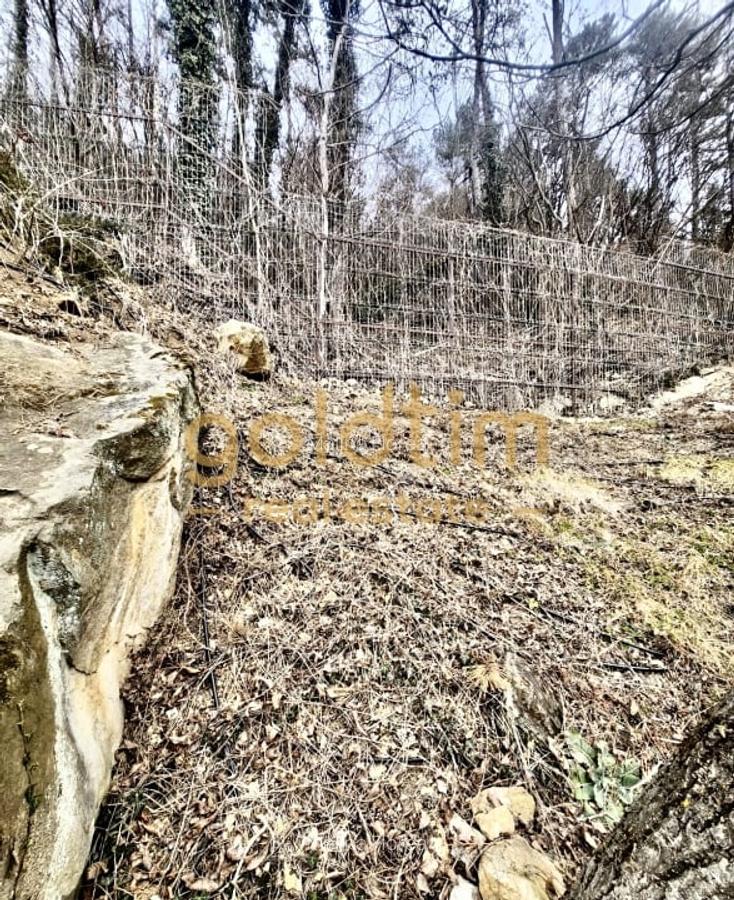 VILA IMPOZANTA P+3 /TEREN 800MP/ VEDERE PANORAMICA ASUPRA ORASULUI/ULTRACENTRAL - 50