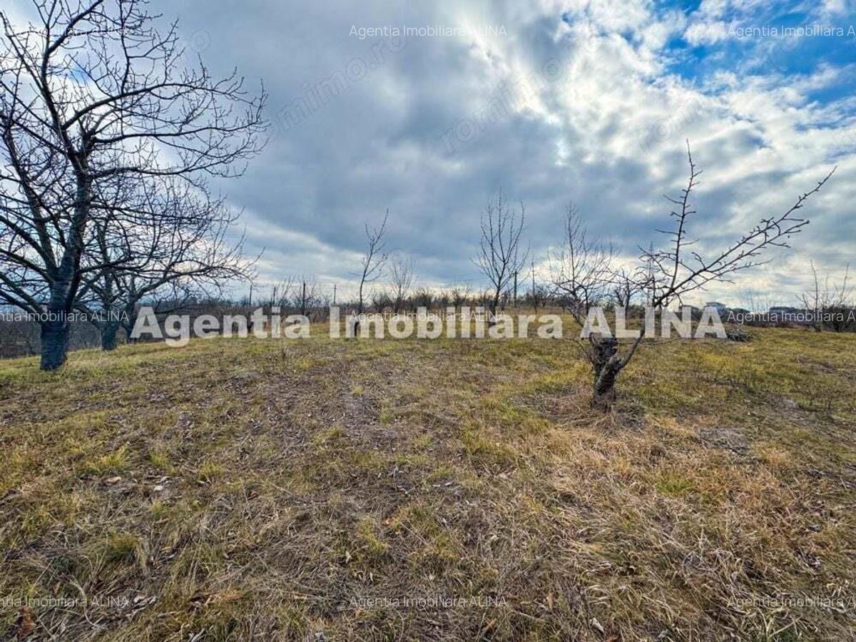 15 parcele de Teren intravilan in Deva, zona Calugareni, Strada Prunilor, Jud. Hd, cu PUZ, PUD, etc. - 9