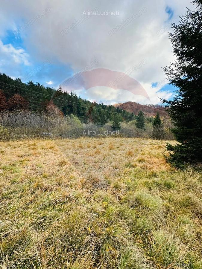 Teren 4,877mp Mara / Strada Principala - 7