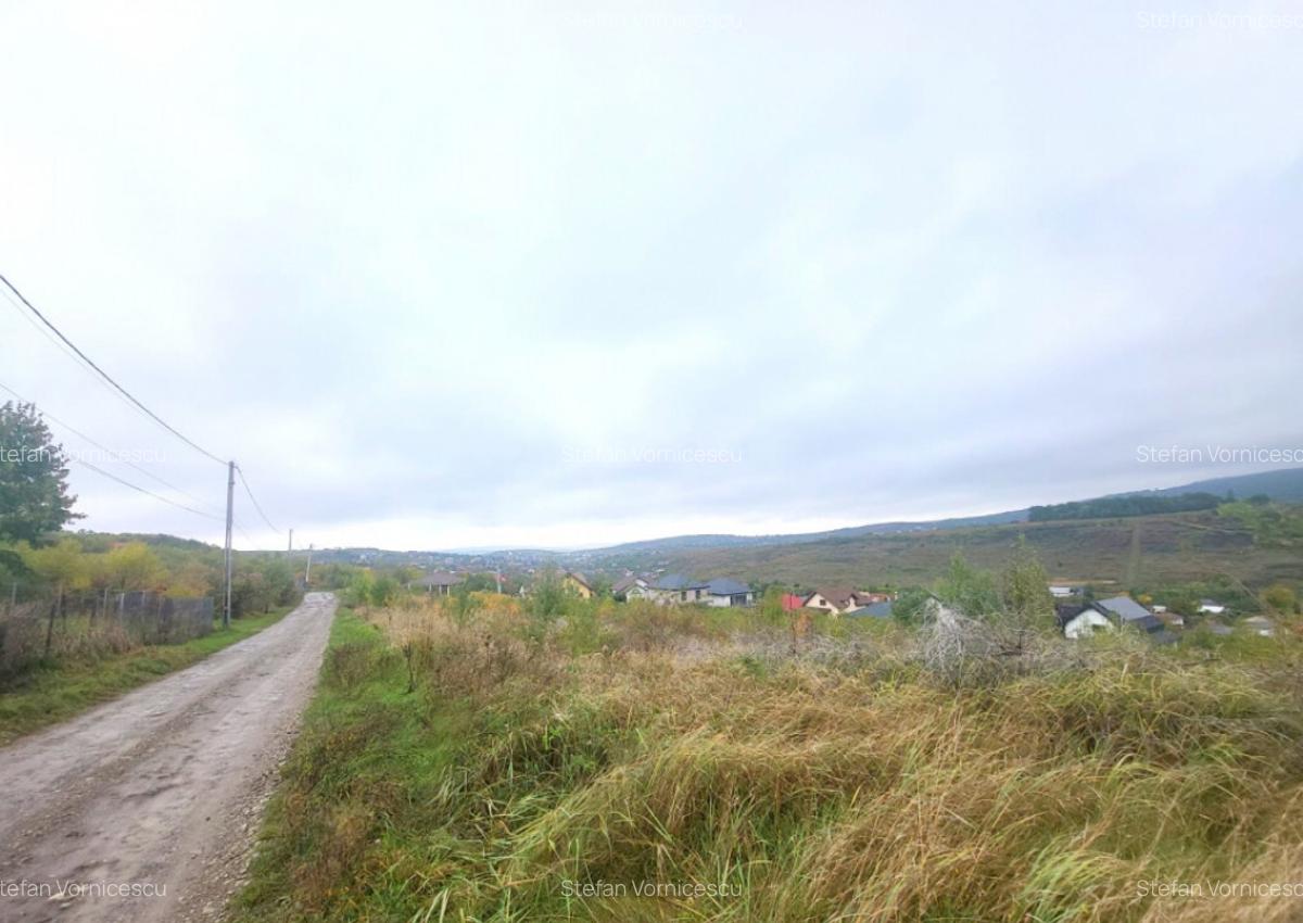Teren de vanzare Barnova, cu priveliste Vanzare imediata - 4
