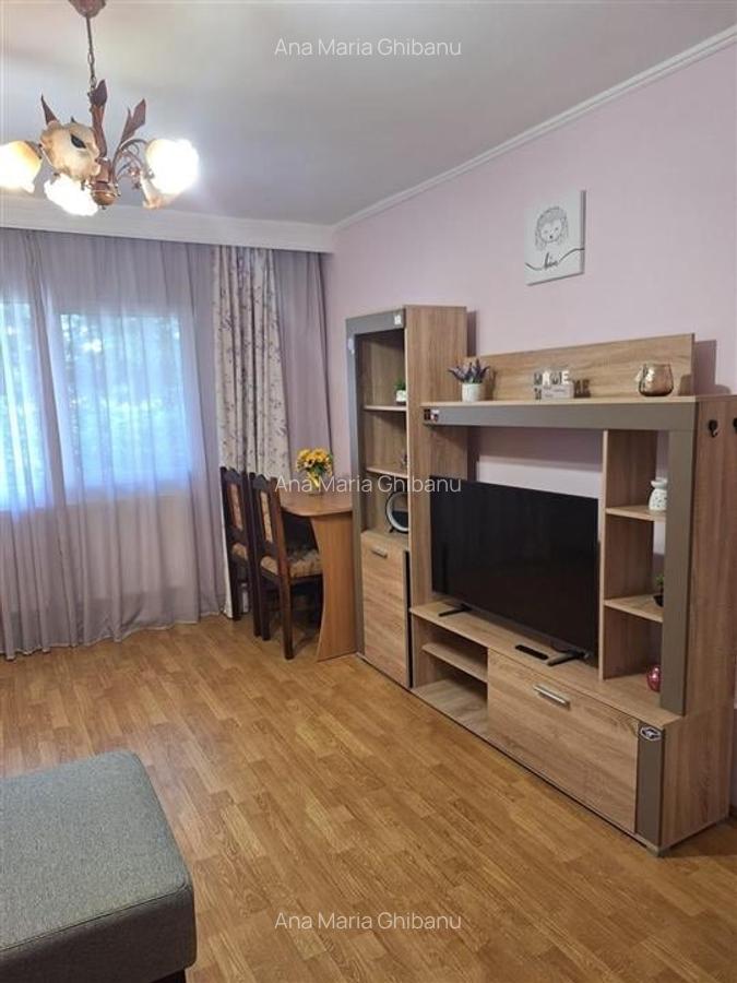 Apartament o camera, decomandat- Frumoasa - 3