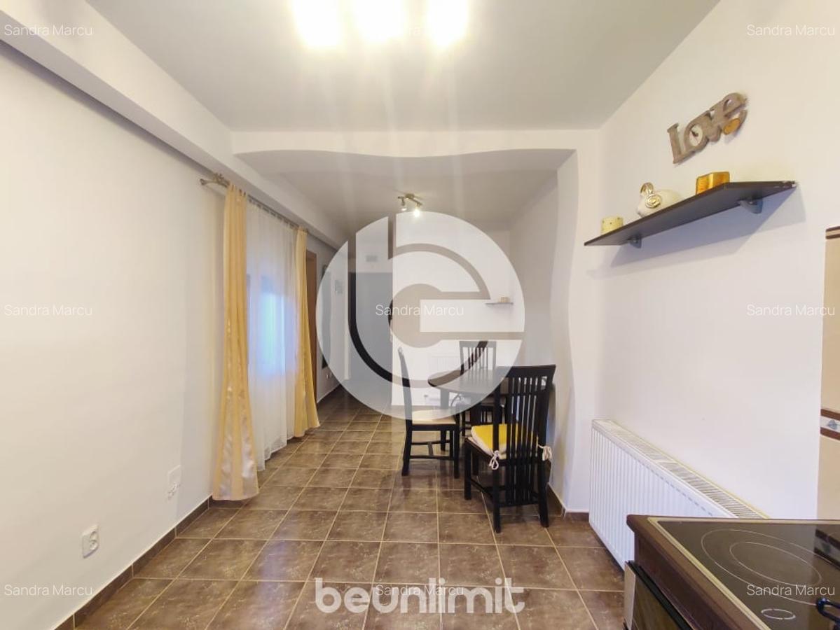 Apartament 2 camere - curte - garaj - langa Parcul Sub Arini - 4