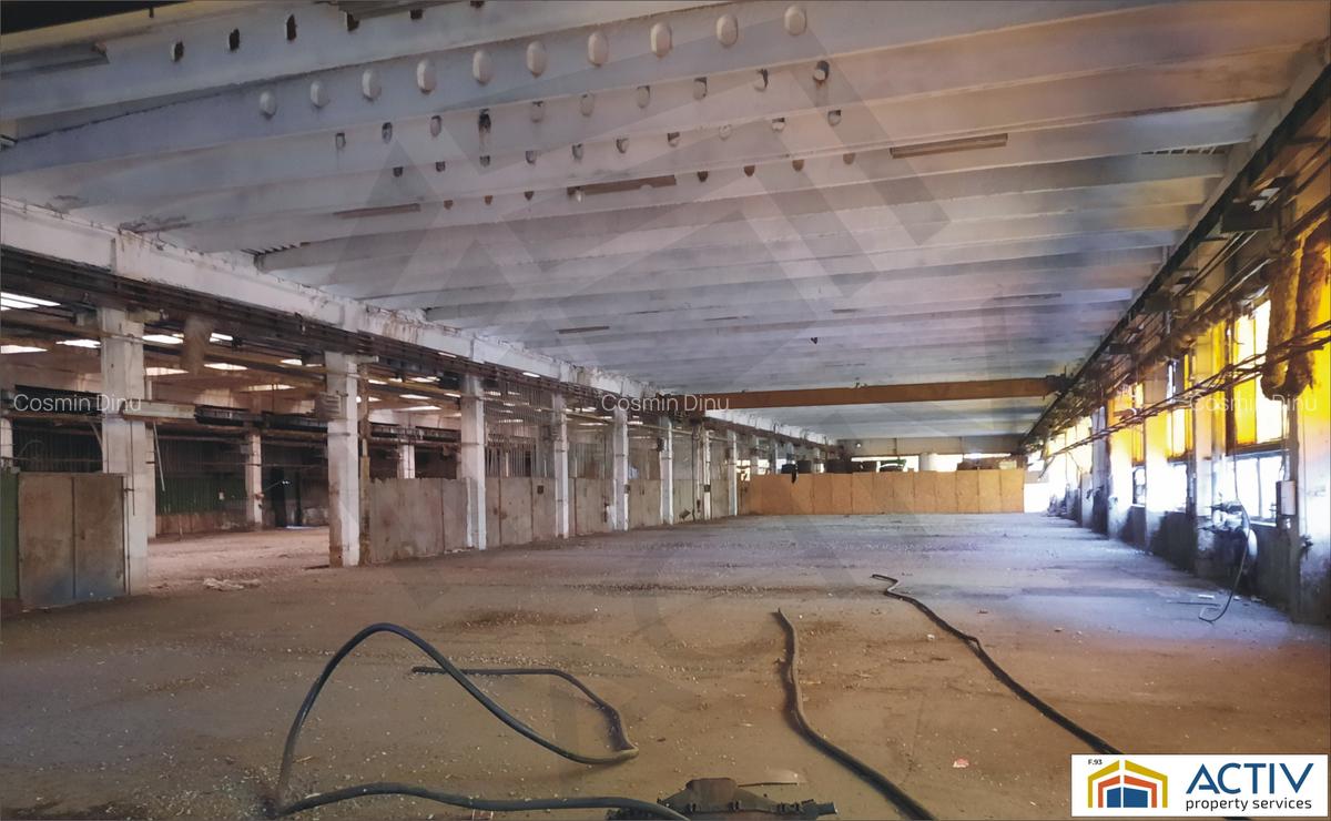 Spatiu Industrial de inchiriat Brasov- Codlea - 3