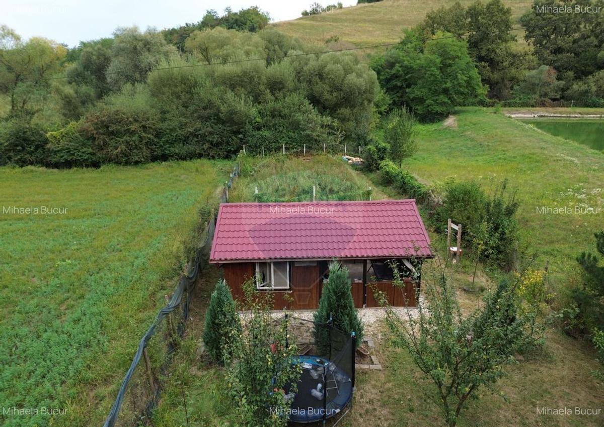 Teren Drumul Buzdului cu o cabana mica - 1
