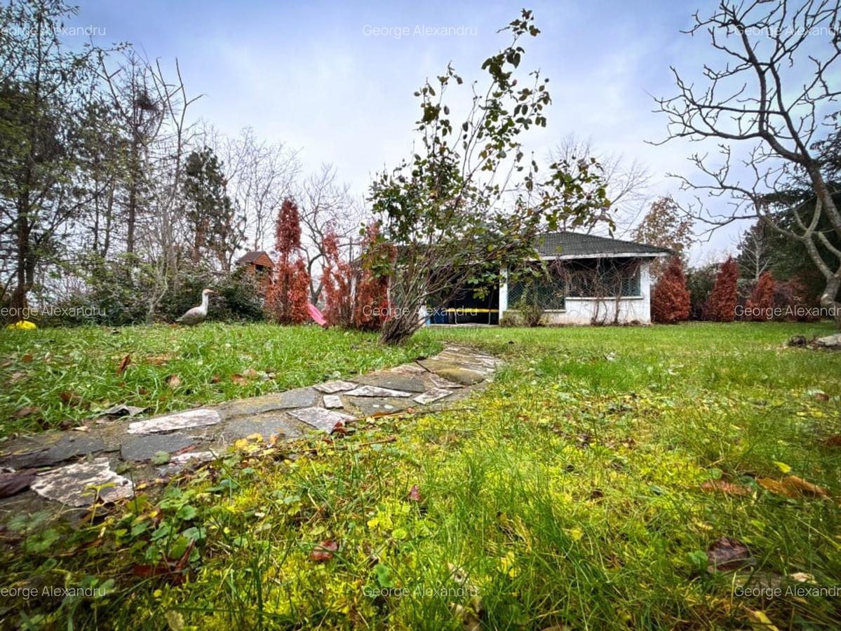 Vila de Vis in Corbeanca – Lux, Natura si Liniste, la un Pas de Lac! - 3